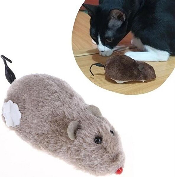 Neler Geldi Neler Kedi Oyuncakları