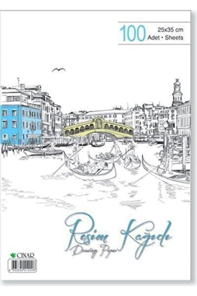 Çınar Resim Defteri, Kağıtları