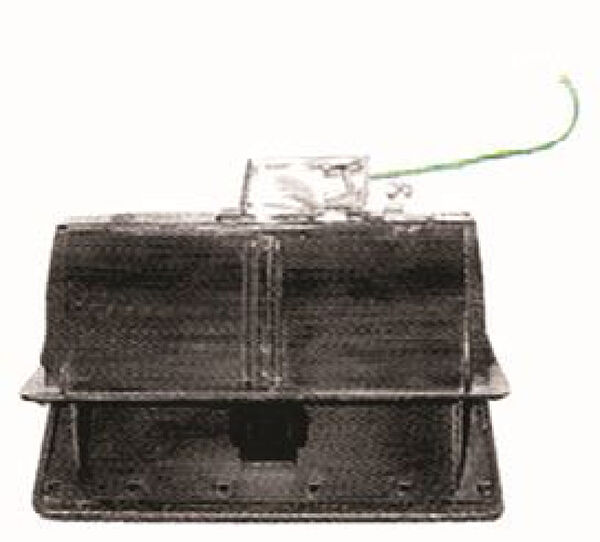 MTJ Silecek Süpürgesi