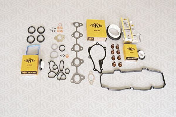 SKT Krank, Piston ve Contalar