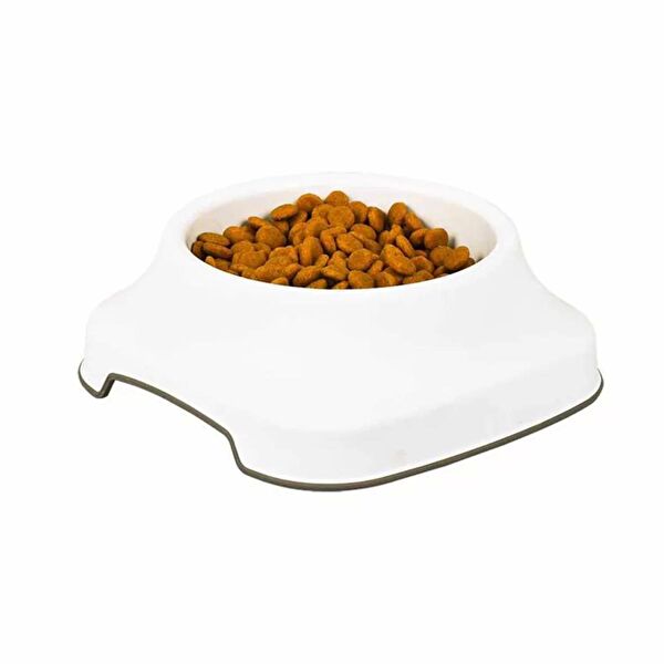 Irak Plastik Kedi Mama ve Su Kapları