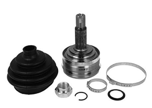 Zenon Aks Körük & Kafası