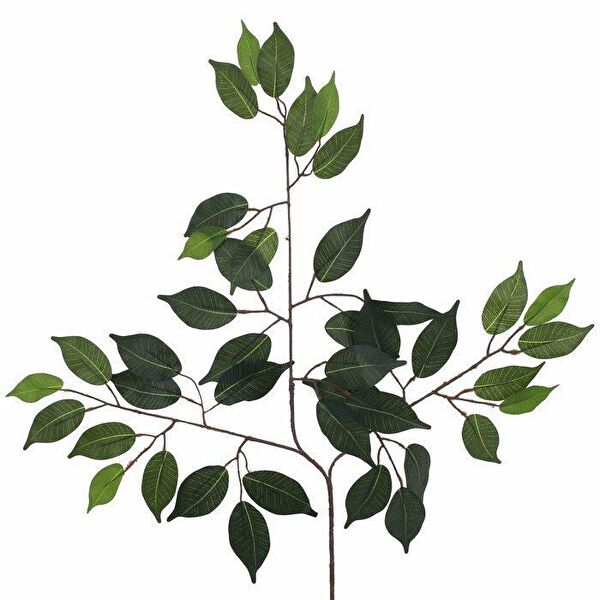 Nettenevime Yapay Çiçek, Meyve