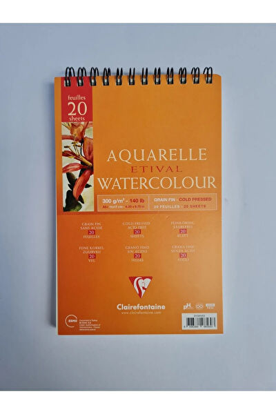 Esmo Resim Defteri, Kağıtları