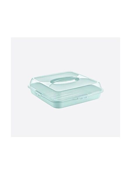 Dünya Plastik Kek, Pasta Fanusu