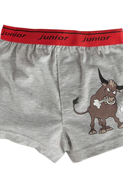 Miorre Erkek Çocuk İç Çamaşırı