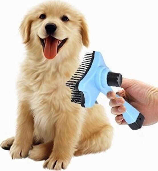 Neler Geldi Neler Köpek Tarak, Fırça, Makas