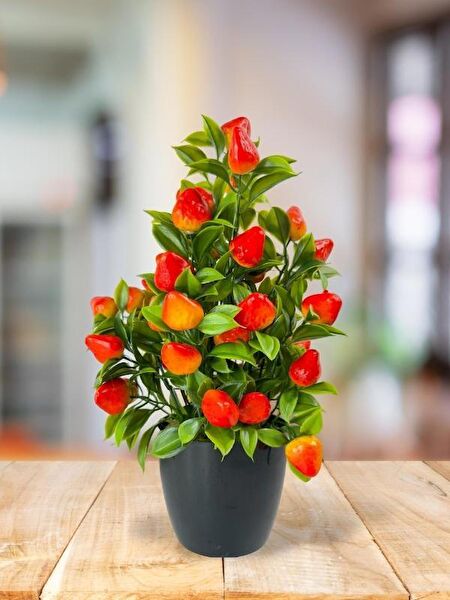 Nettenevime Yapay Çiçek, Meyve