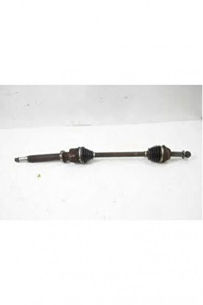 Anka Aks Körük & Kafası