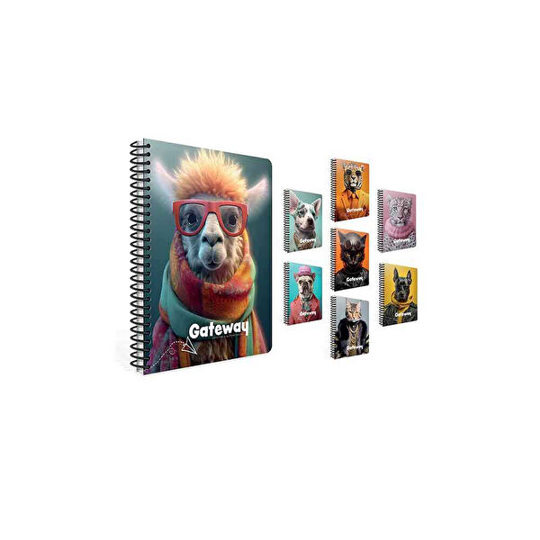 Gıpta Defter, Ajanda