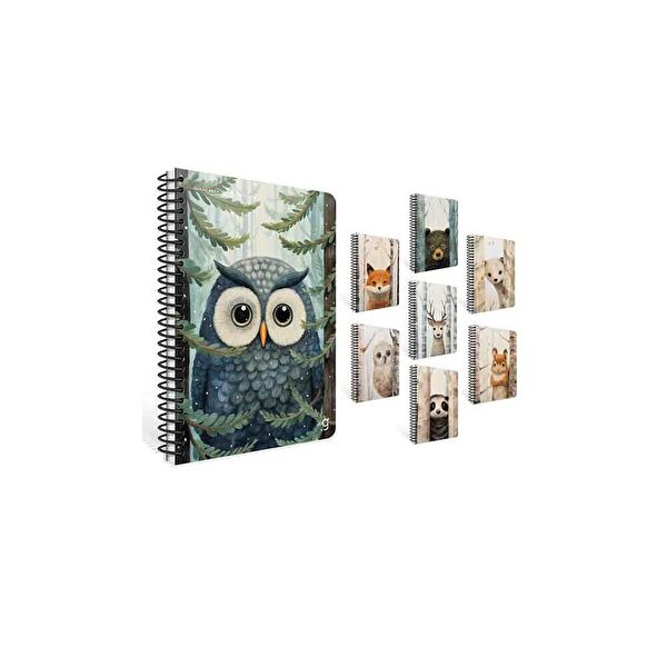 Gıpta Defter, Ajanda