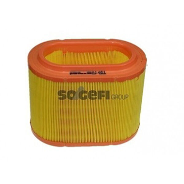 Purflux Hava Filtreleri