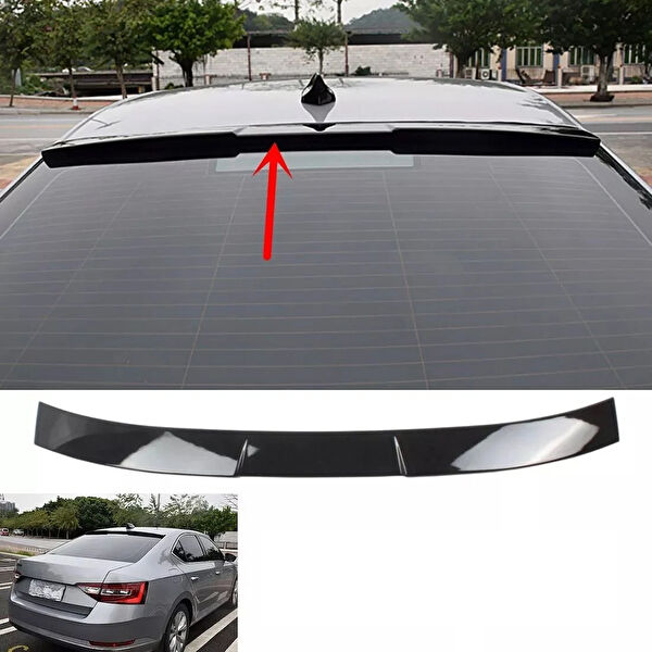 Autogp Anatomik Spoiler