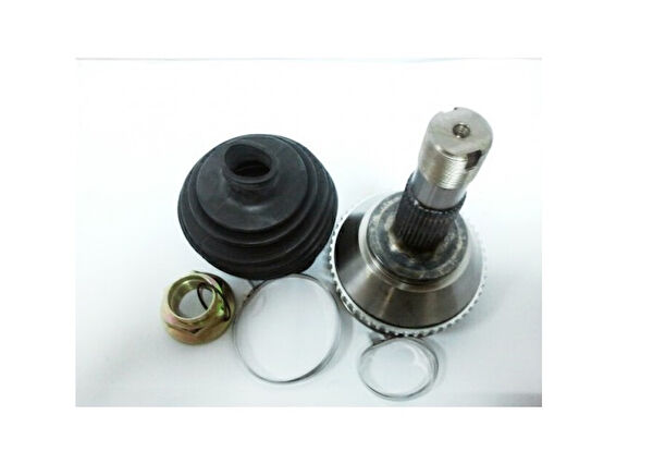 Zenon Aks Körük & Kafası