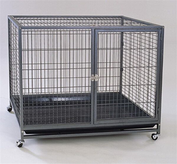 Dayang Köpek Kafesi, Aksesuarları