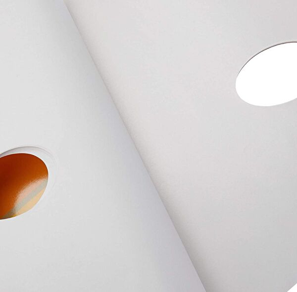 Fanart Resim Defteri, Kağıtları