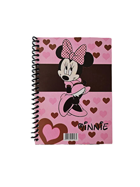 Disney Defter, Ajanda