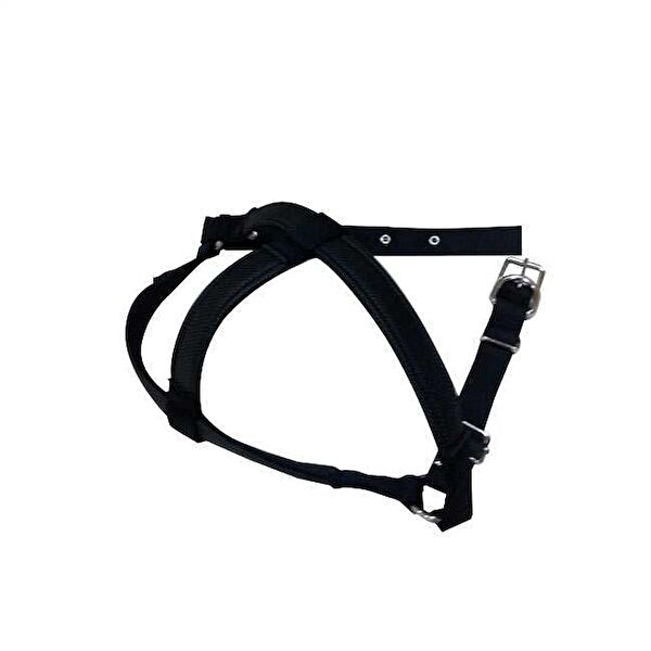 Pet Style Köpek Tasmaları