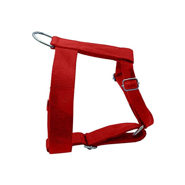 Pet Style Köpek Tasmaları