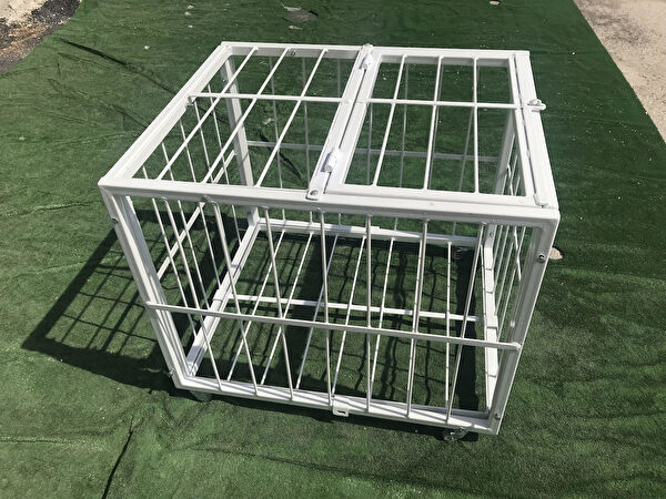 adelinspor Basketbol Potası, Ekipmanları