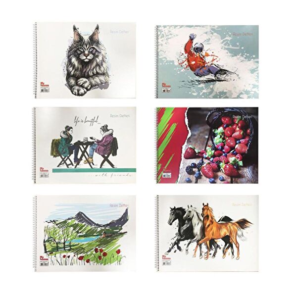 Tokaç Resim Defteri, Kağıtları