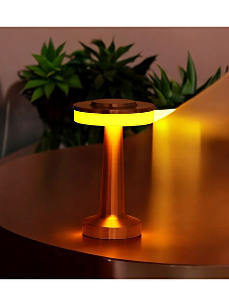 Plentiful Masa Lambası