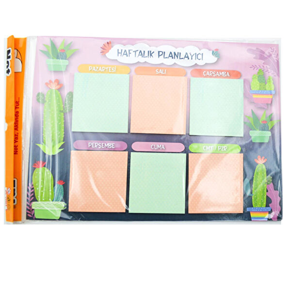 Notyaz Defter, Ajanda