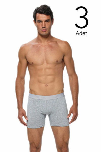 Gümüş Erkek Boxer, Slip, Külot