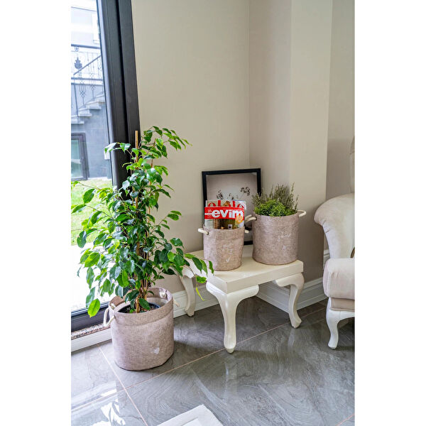 Byhodi Avadanlık, Organizer