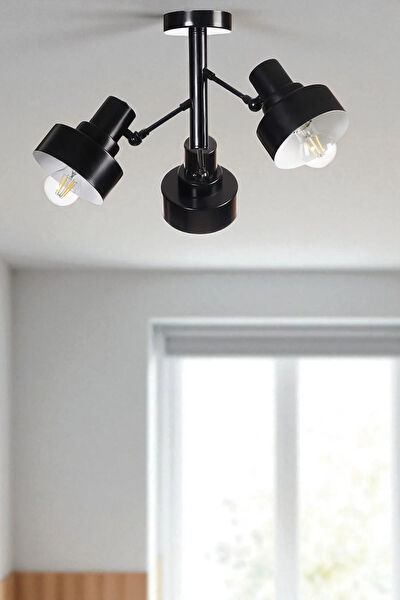 Lumexx Avize, Sarkıt