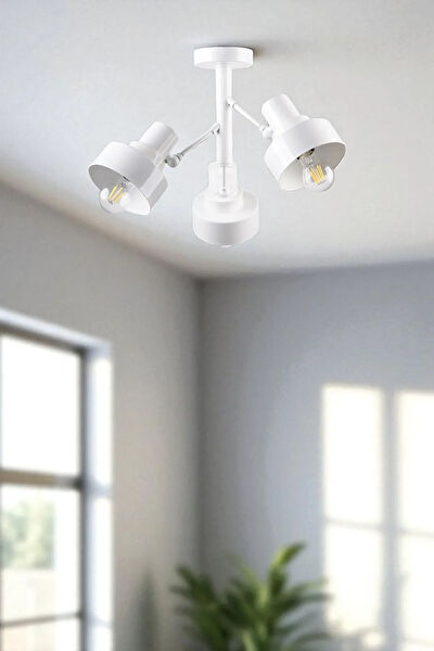 Lumexx Avize, Sarkıt