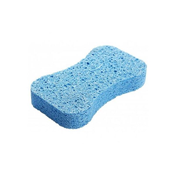 Lionesse Banyo Lifi, Süngeri