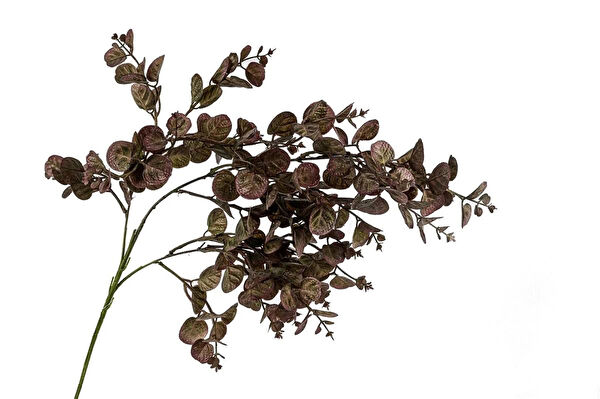 Mikasa Moor Yapay Çiçek, Meyve