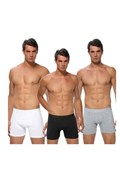 Gümüş Erkek Boxer, Slip, Külot