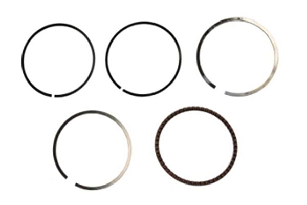 Sevgent Krank, Piston ve Contalar