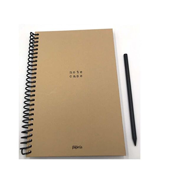 Papirus Defter, Ajanda