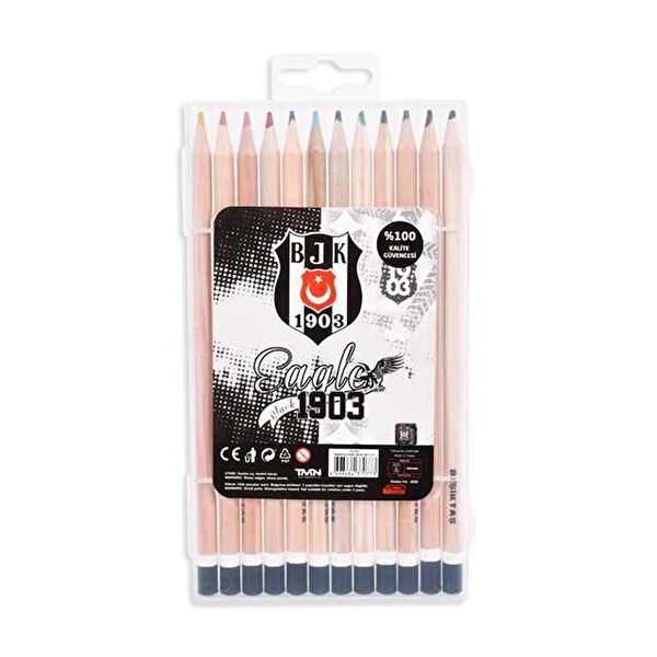 Beşiktaş Kuru Boya