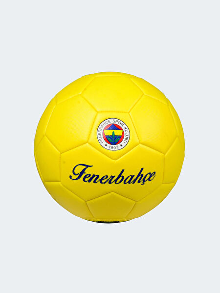 Fenerbahçe Futbol Topu