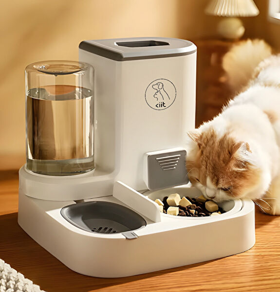 kiit Kedi Mama ve Su Kapları