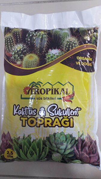 Tropikal Torf ve Toprak