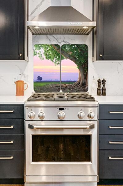 Saban Koruyucu Ürünler