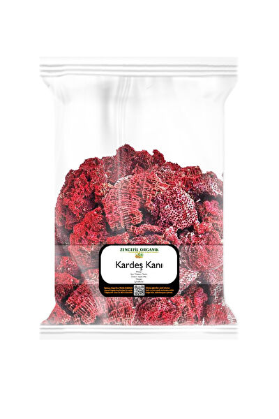 Zencefil Organik Tohum