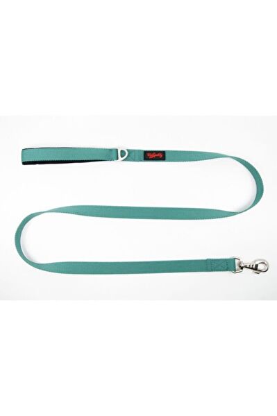 TailPetz Köpek Tasmaları