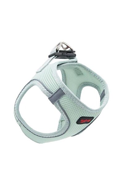 TailPetz Köpek Tasmaları