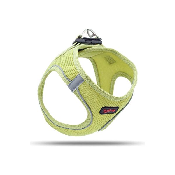 TailPetz Köpek Tasmaları