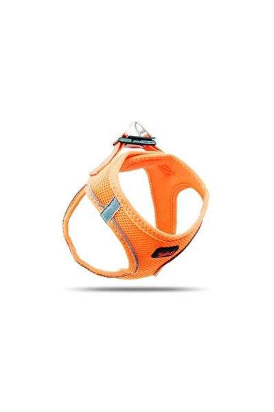 TailPetz Köpek Tasmaları