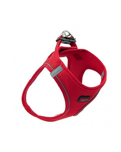 TailPetz Köpek Tasmaları