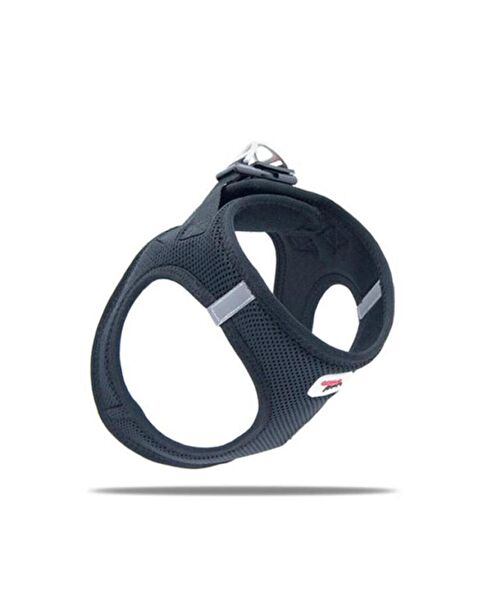 TailPetz Köpek Tasmaları