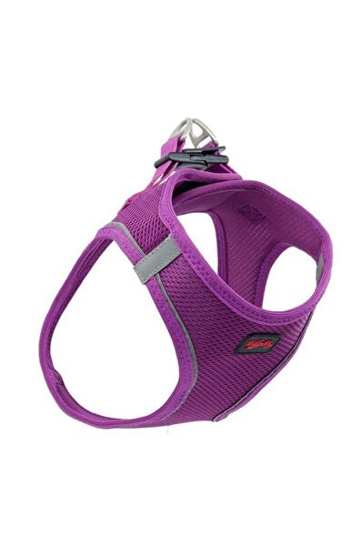 TailPetz Köpek Tasmaları