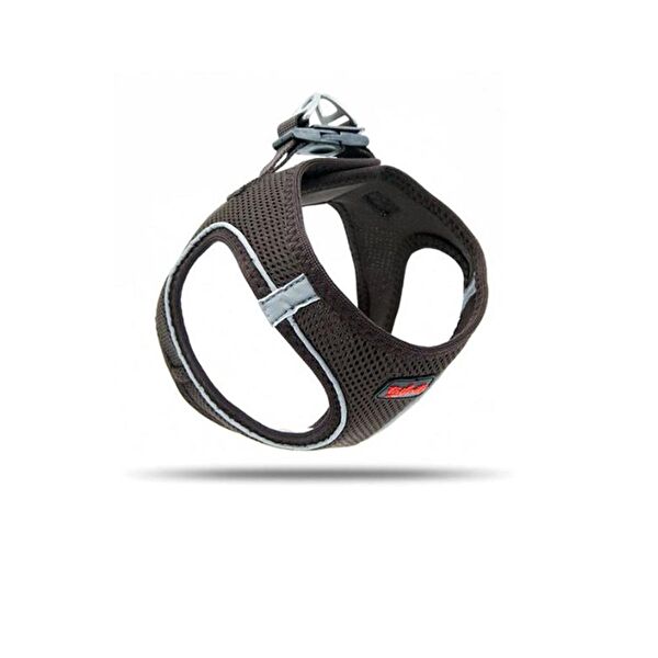 TailPetz Köpek Tasmaları